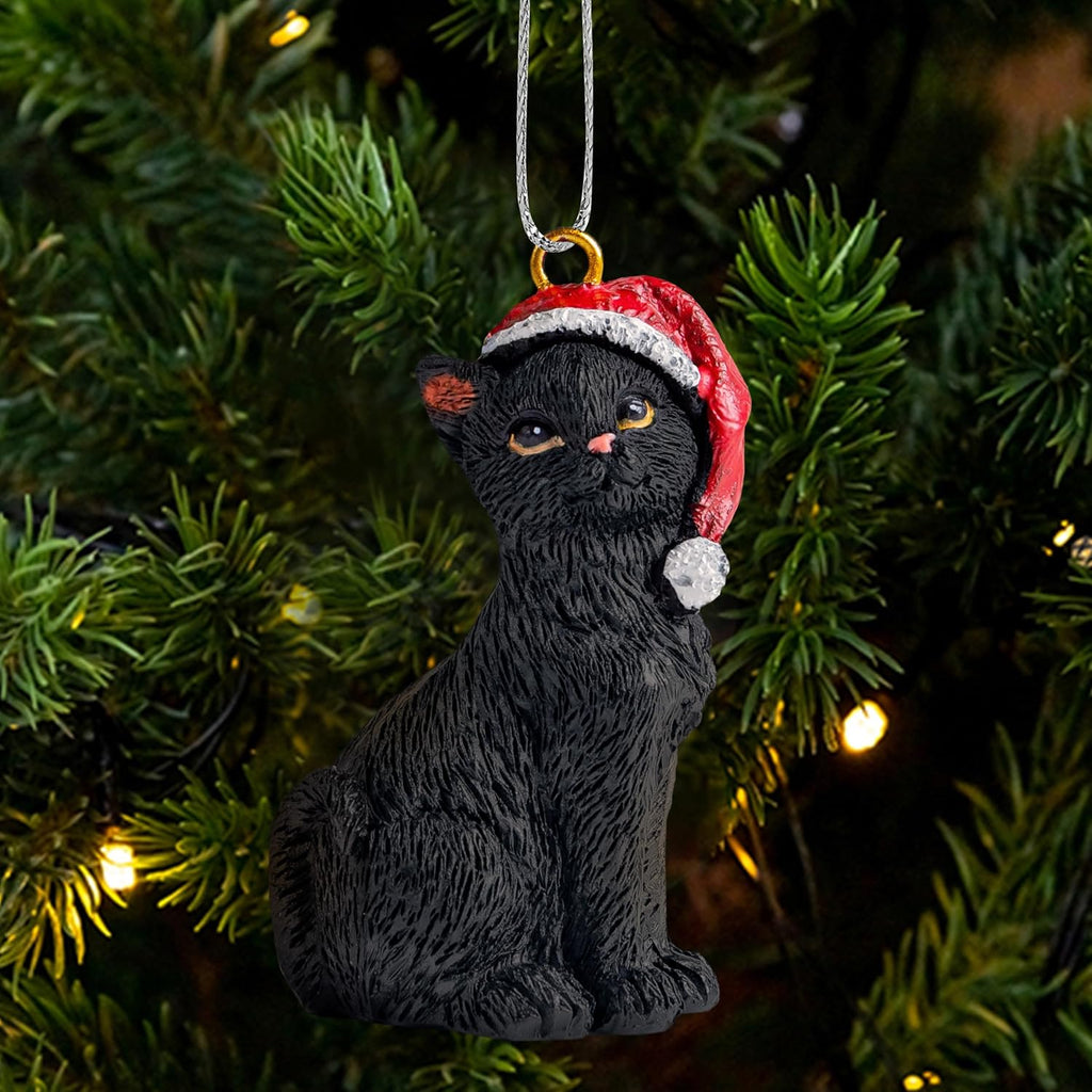 Cats Wholesale
