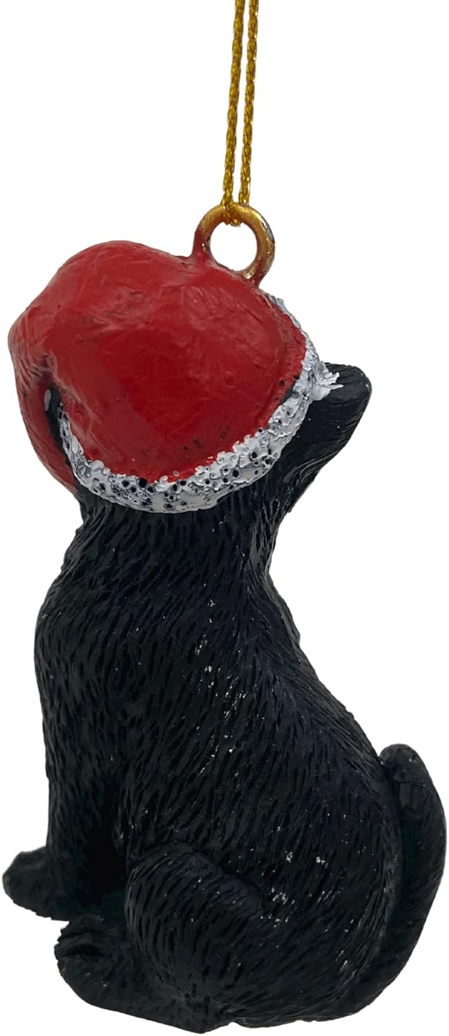 Cats Wholesale
