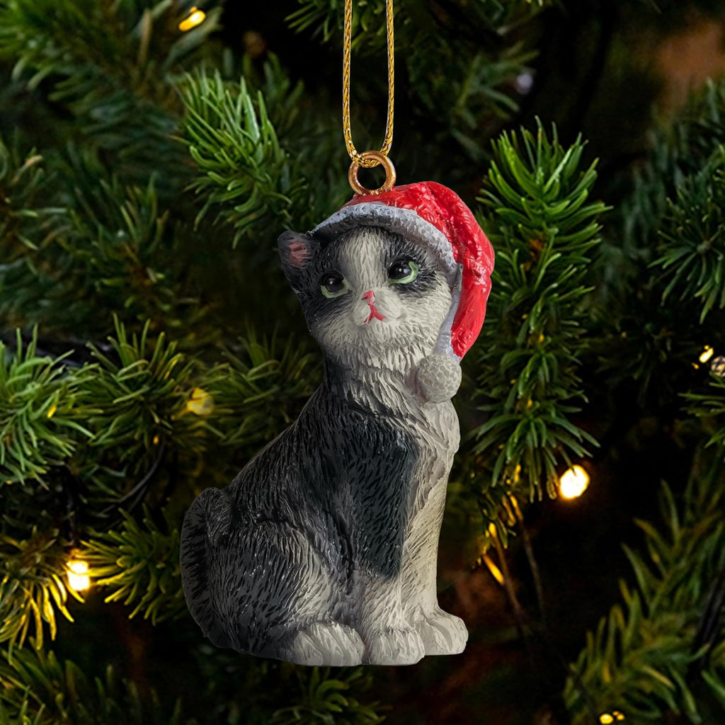 Cats Wholesale