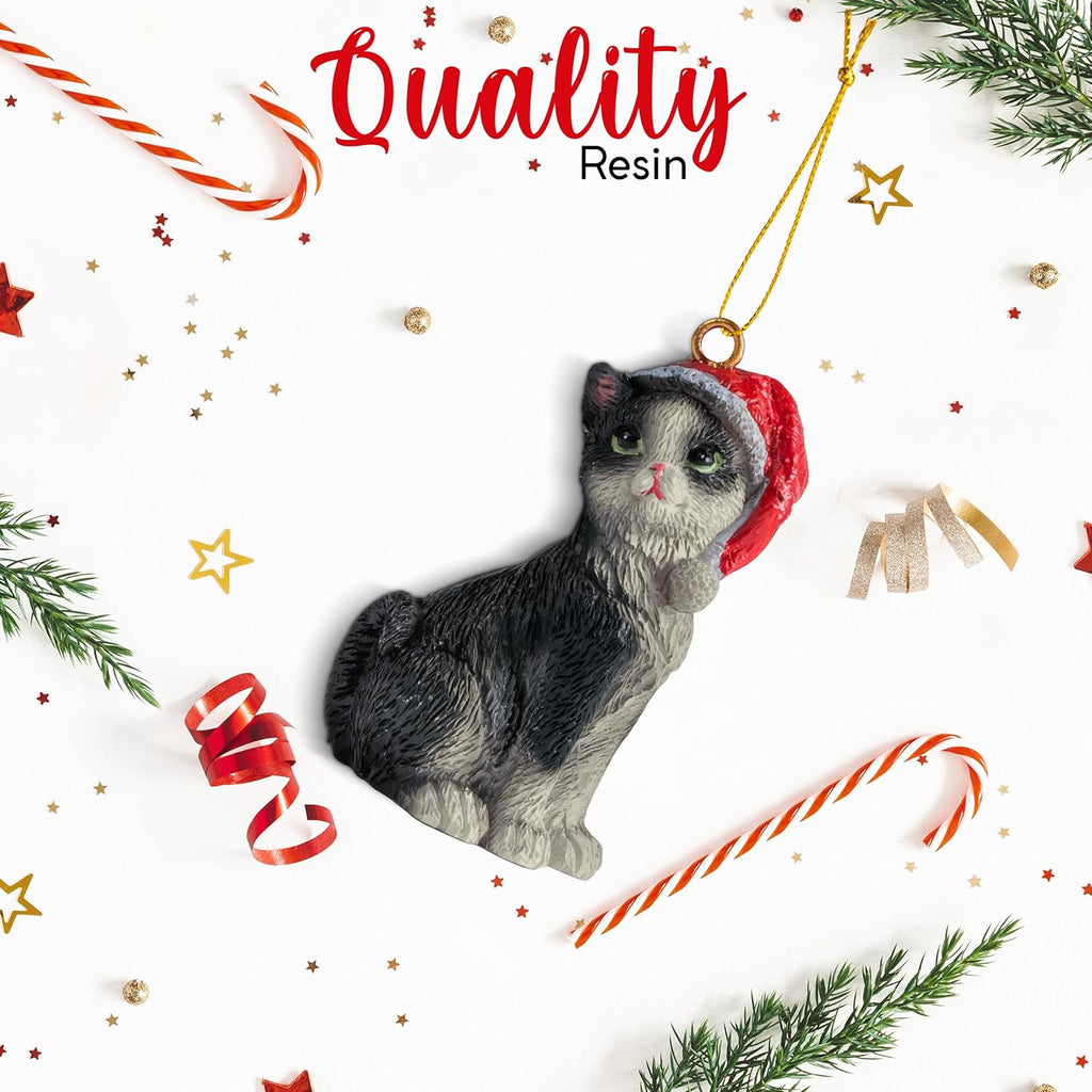 Cats Wholesale