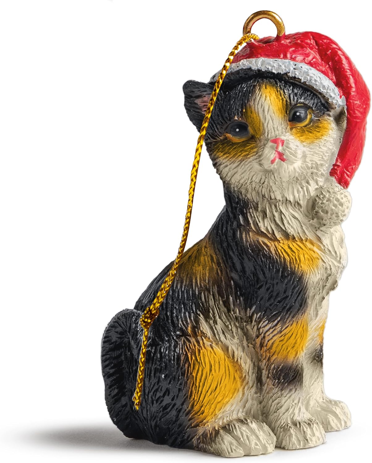 Cats Wholesale
