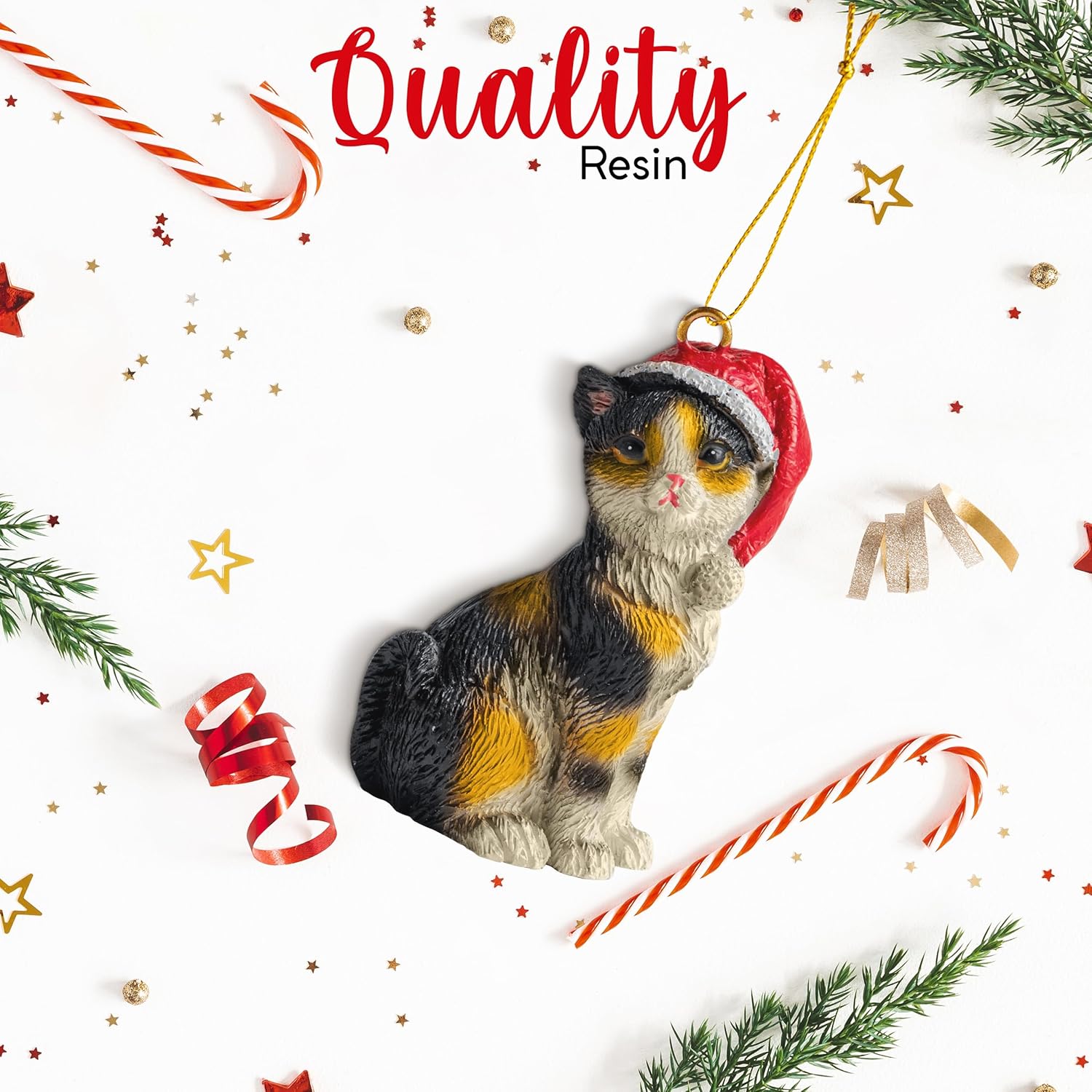 Cats Wholesale